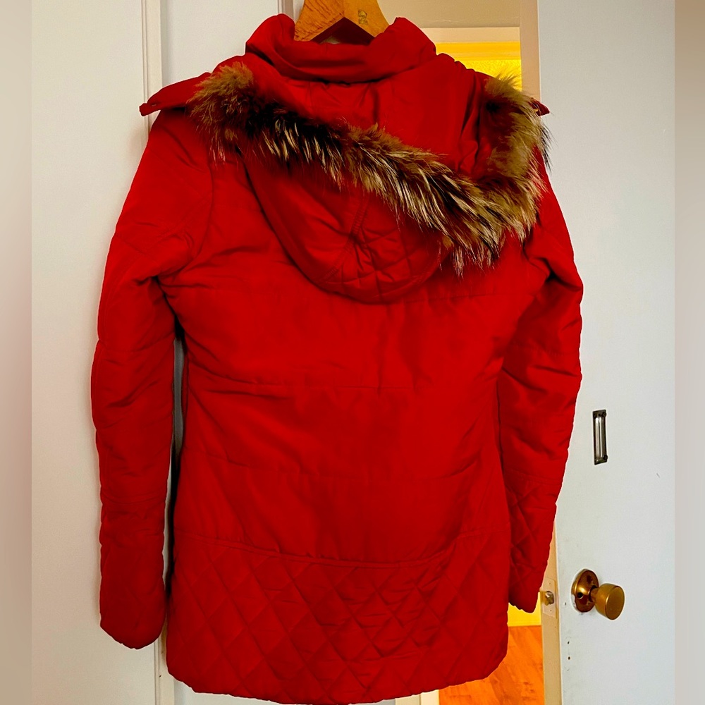 Heartbeat premium red jacket